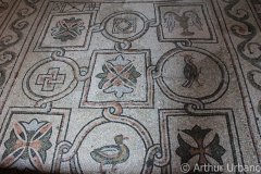 Floor Mosaic, San Vitale, Ravenna