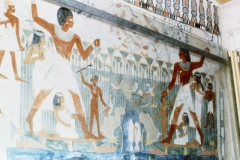 Cairo, Egyptian Museum (1981)
