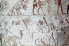 Thebes - Ramses Museum - Egypt - 1978