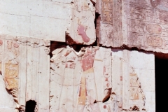 West Nile Delta - Egypt - 1978