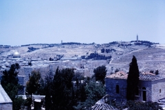 My beautiful picture