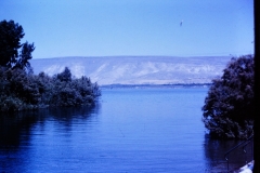 Galilee - Israel - 1962