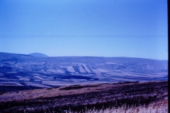 Galilee - Israel - 1962