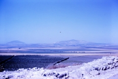 Galilee - Israel - 1962