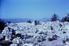 Galilee - Israel - 1962