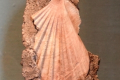 Via Appia-1-24