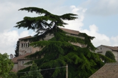 Church complex-65
