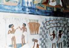 My beautiful picture