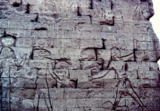 Kamal, Egypt  (1978)