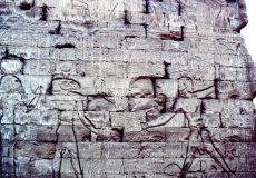 My beautiful picture