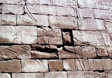 My beautiful picture