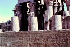 My beautiful picture