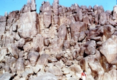 My beautiful picture