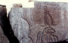 My beautiful picture