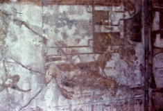 My beautiful picture