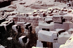 West Nile Delta - Egypt - 1978