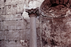 My beautiful picture