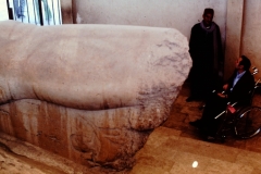 Sukara, Memphis, Egypt (1978)