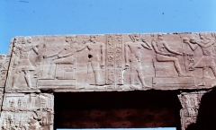 Sukara, Memphis, Egypt (1978)