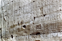 My beautiful picture