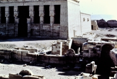 My beautiful picture