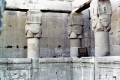 My beautiful picture