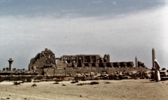 My beautiful picture