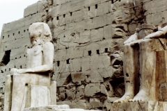 My beautiful picture