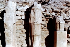 My beautiful picture