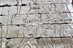 My beautiful picture