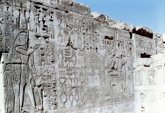 My beautiful picture