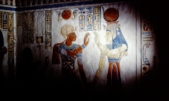 My beautiful picture