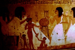 My beautiful picture