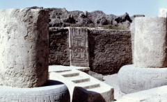 My beautiful picture