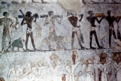 My beautiful picture