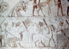 Thebes - Ramses Museum - Egypt - 1978