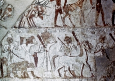 My beautiful picture