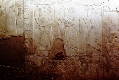 My beautiful picture