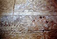 My beautiful picture