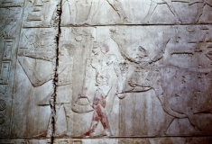 My beautiful picture