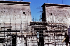 My beautiful picture