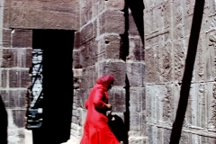 My beautiful picture