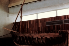 My beautiful picture