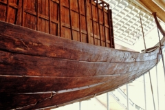 My beautiful picture