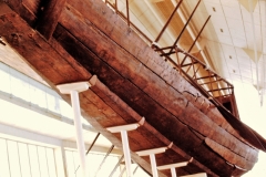 My beautiful picture