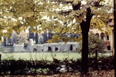 My beautiful picture