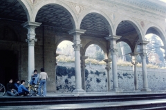 My beautiful picture