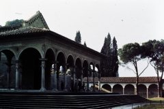 My beautiful picture