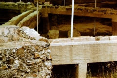 My beautiful picture