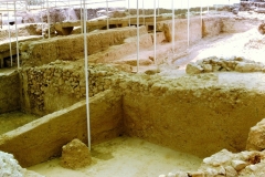 My beautiful picture